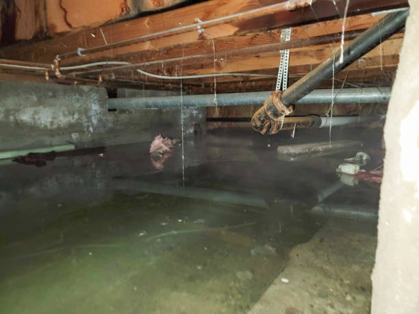 Best Residential water damage restoration  in Casa Grande, AZ