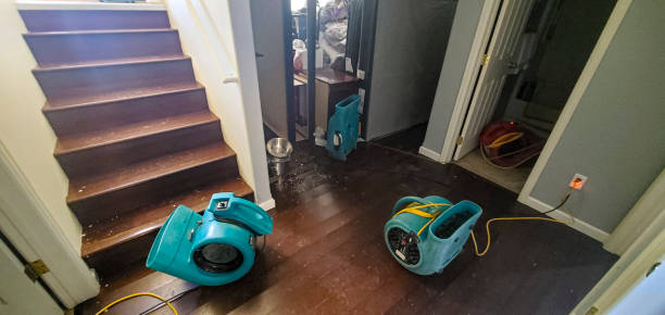 Best Water damage restoration experts  in Casa Grande, AZ