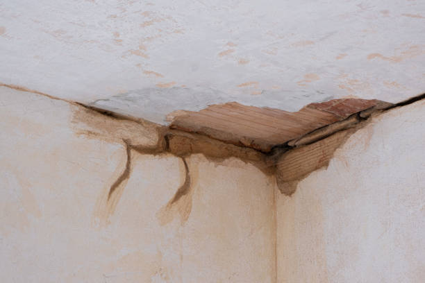 Professional Water damage restoration in AZ