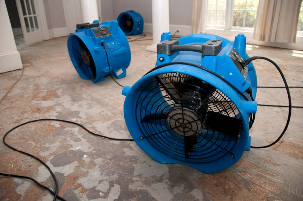 Best Professional water damage repair  in Casa Grande, AZ