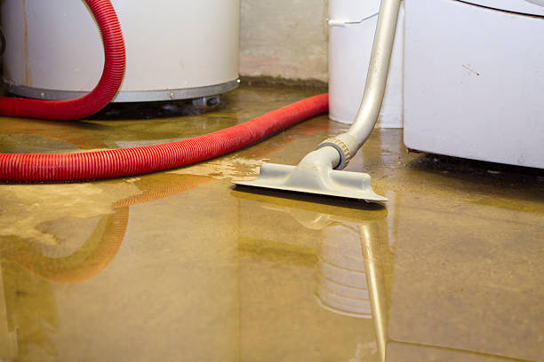 Best Flood damage cleanup  in Casa Grande, AZ