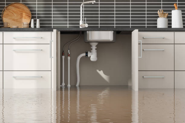 Best Flood restoration services  in Casa Grande, AZ