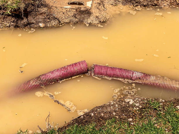 Professional Water damage restoration in AZ