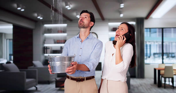 Best Ceiling water damage repair  in Casa Grande, AZ