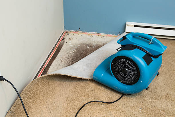 Best Flooded house restoration  in Casa Grande, AZ